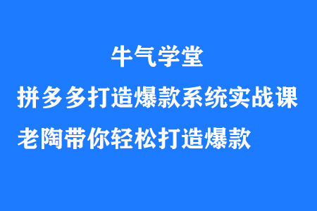 牛气学堂拼多多打造爆款系统实战课，老陶带你轻松打造爆款-七哥资源网 - 全网最全创业项目资源