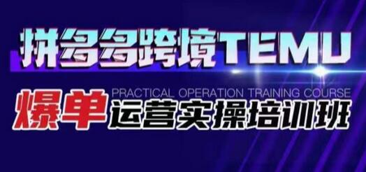 拼多多跨境TEMU爆单运营实操培训班，海外拼多多的选品、运营、爆单-七哥资源网 - 全网最全创业项目资源