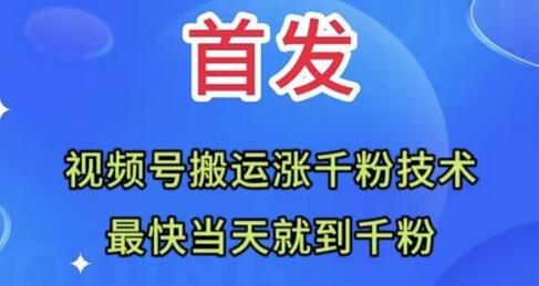 全网首发：视频号无脑搬运涨千粉技术，最快当天到千粉-七哥资源网 - 全网最全创业项目资源