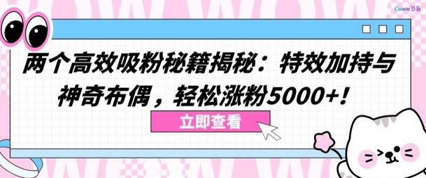 两个高效吸粉秘籍揭秘：特效加持与神奇布偶，轻松涨粉5000+-七哥资源网 - 全网最全创业项目资源