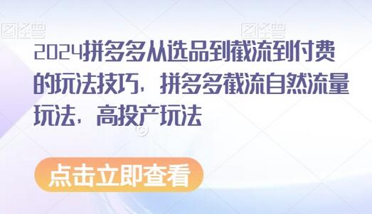 2024拼多多从选品到截流到付费的玩法技巧，拼多多截流自然流量玩法，高投产玩法-七哥资源网 - 全网最全创业项目资源