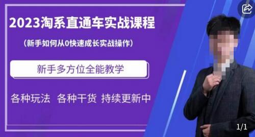 2023淘系直通车保姆式运营讲解，新手如何从0快速成长实战操作，新手多方位全能教学-七哥资源网 - 全网最全创业项目资源