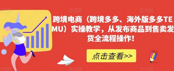 跨境电商（跨境多多、海外版多多TEMU）实操教学，从发布商品到售卖发货全流程操作！-七哥资源网 - 全网最全创业项目资源