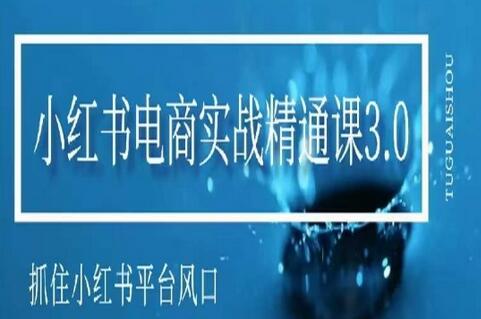 小红书电商实战精通课3.0，抓住小红书平台的风口，不错过有一个赚钱的机会-七哥资源网 - 全网最全创业项目资源