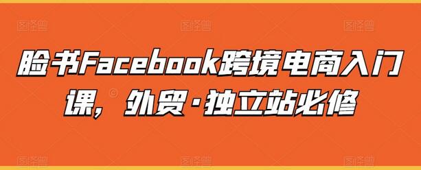 脸书Facebook跨境电商入门课，外贸·独立站必修-七哥资源网 - 全网最全创业项目资源