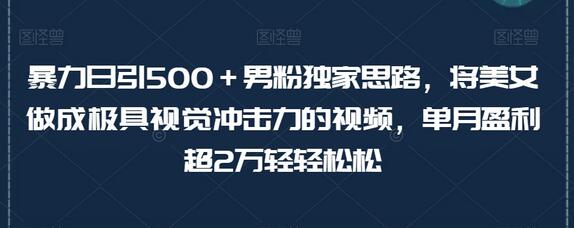 暴力日引500＋男粉独家思路，将美女做成极具视觉冲击力的视频，单月盈利超2万轻轻松松-七哥资源网 - 全网最全创业项目资源