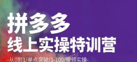 青云:拼多多运营实操特训营：从0到1/单点突破/1-100/带领实操价值2980元-七哥资源网 - 全网最全创业项目资源