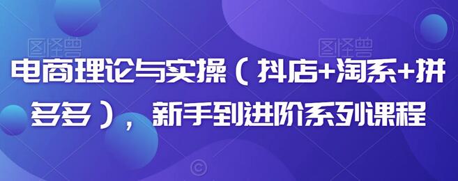 电商理论与实操（抖店+淘系+拼多多），新手到进阶系列课程-七哥资源网 - 全网最全创业项目资源