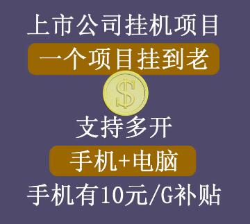 睿思挂机项目，支持手机电脑一起挂，支持虚拟机多开，手机挂有10元每G的流量补贴-七哥资源网 - 全网最全创业项目资源