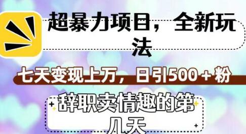 超暴利项目，全新玩法（辞职卖情趣的第几天），七天变现上万，日引500+粉-七哥资源网 - 全网最全创业项目资源