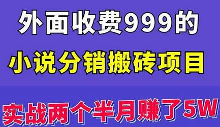 外面收费999的小说分销搬砖项目：实战两个半月赚了5W块，操作简单！-七哥资源网 - 全网最全创业项目资源