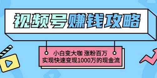 玩转微信视频号赚钱：小白变大咖涨粉百万实现快速变现1000万的现金流-七哥资源网 - 全网最全创业项目资源