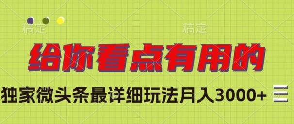 独家微头条最详细玩法，月入3000+-七哥资源网 - 全网最全创业项目资源