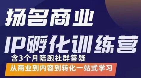 杨名商业IP孵化训练营，从商业到内容到转化一站式学 价值5980元-七哥资源网 - 全网最全创业项目资源