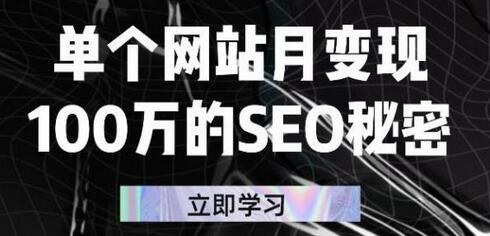 单个网站月变现100万的SEO秘密，百分百做出赚钱站点-七哥资源网 - 全网最全创业项目资源