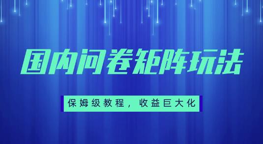 保姆级教程，国内问卷矩阵玩法，轻松赚收益-七哥资源网 - 全网最全创业项目资源