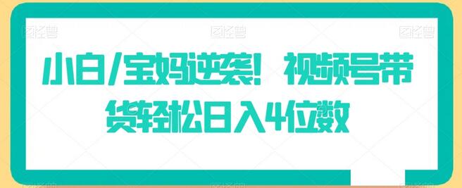 小白/宝妈逆袭！视频号带货轻松日入4位数-七哥资源网 - 全网最全创业项目资源