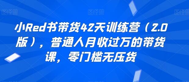 小Red书带货42天训练营（2.0版），普通人月收过万的带货课，零门槛无压货-七哥资源网 - 全网最全创业项目资源