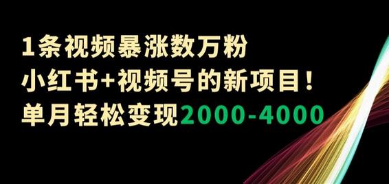 1条视频暴涨数万粉–小红书+视频号的新项目！单月轻松变现2000-4000-七哥资源网 - 全网最全创业项目资源