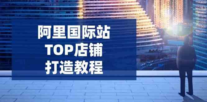 阿里国际站TOP店铺打造教程：涵盖平台到高阶，解决运营难题，提升询盘-七哥资源网 - 全网最全创业项目资源