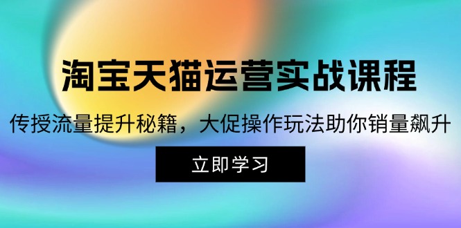 （12959期）淘宝&天猫运营实战课程，传授流量提升秘籍，大促操作玩法助你销量飙升-七哥资源网 - 全网最全创业项目资源