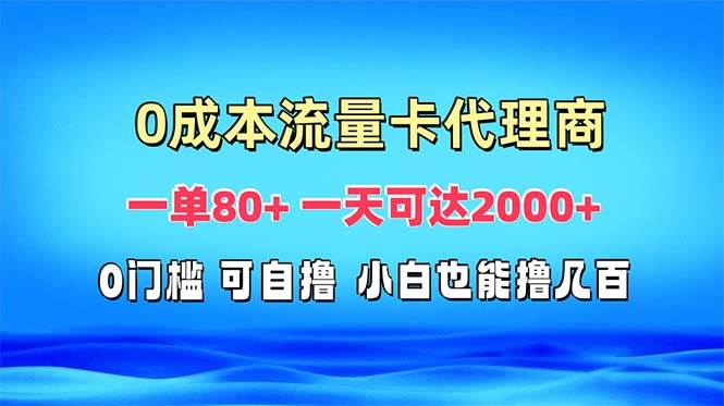 （13391期）免费流量卡代理一单80+ 一天可达2000+-七哥资源网 - 全网最全创业项目资源