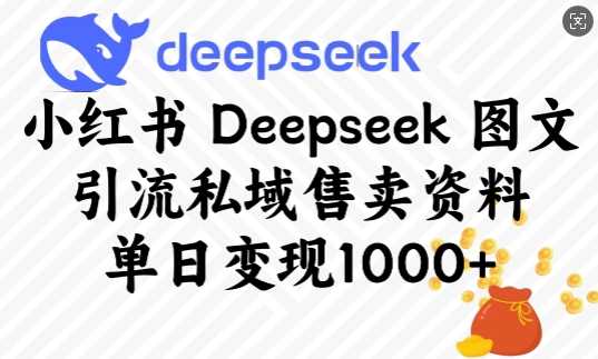 小红书Deepseek图文引流私域售卖资料，单日变现多张-七哥资源网 - 全网最全创业项目资源