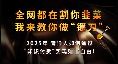 知识付费如何做到月入过W+，2025我来教你做“镰刀”【揭秘】-七哥资源网 - 全网最全创业项目资源