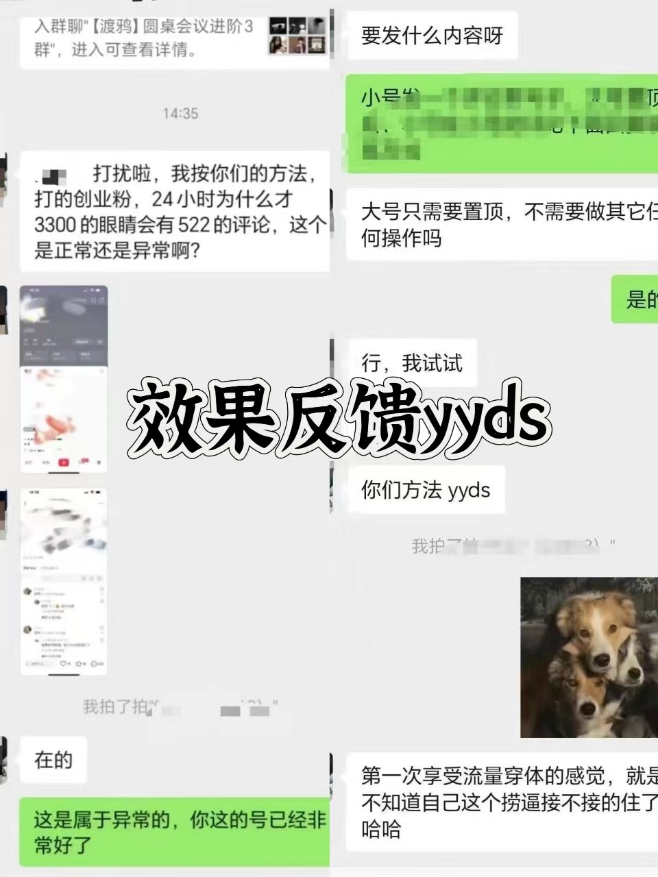 图片[3]-抖音小红书视频号全平台引流打法，全自动引流日引2000+精准客户-七哥资源网 - 全网最全创业项目资源