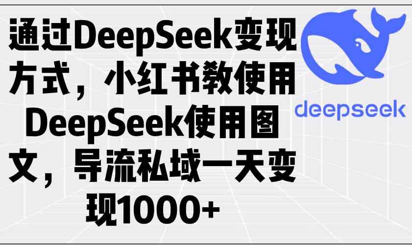 （14179期）通过DeepSeek变现方式，小红书教使用DeepSeek图文，导流私域一天变现1000+-七哥资源网 - 全网最全创业项目资源