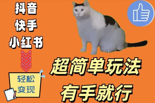 超简单玩法，有手就行，靠猫咪视频日入500+【揭秘】-七哥资源网 - 全网最全创业项目资源