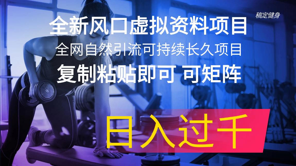 （11587期）全新风口虚拟资料项目 全网自然引流可持续长久项目 复制粘贴即可可矩阵…-七哥资源网 - 全网最全创业项目资源