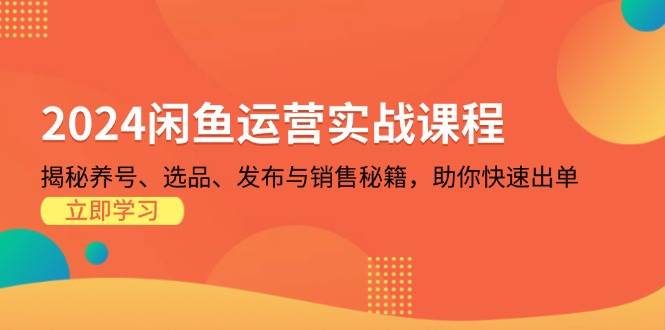 （13290期）2024闲鱼运营实战课程：揭秘养号、选品、发布与销售秘籍，助你快速出单-七哥资源网 - 全网最全创业项目资源