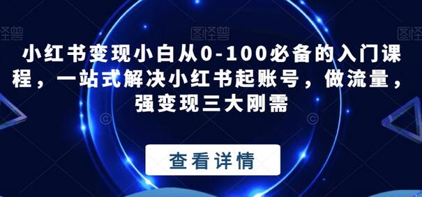 小红书变现小白从0-100必备的入门课程，一站式解决小红书起账号，做流量，强变现三大刚需-七哥资源网 - 全网最全创业项目资源