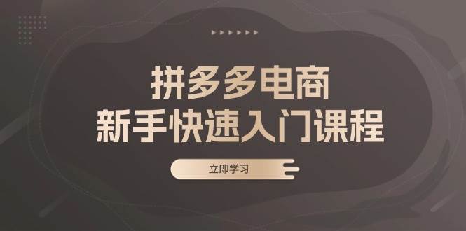 （13289期）拼多多电商新手快速入门课程：涵盖基础、实战与选款，助力小白轻松上手-七哥资源网 - 全网最全创业项目资源