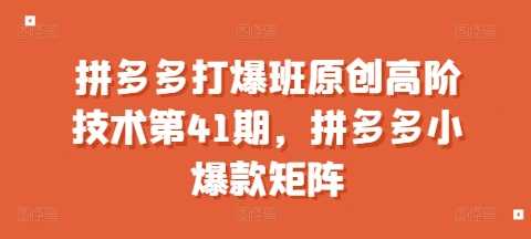 拼多多打爆班原创高阶技术第41期，拼多多小爆款矩阵-七哥资源网 - 全网最全创业项目资源