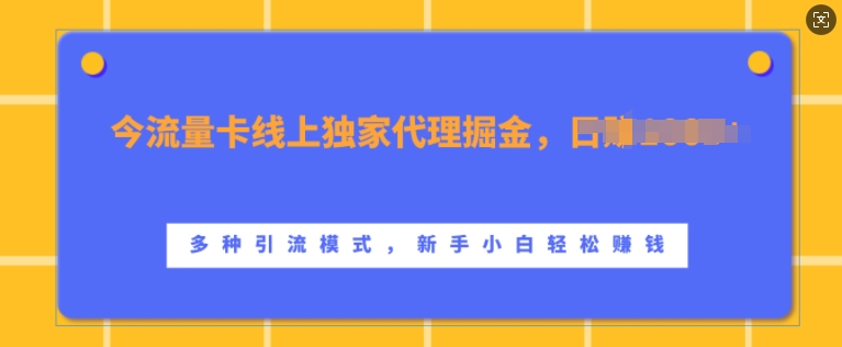 流量卡线上独家代理掘金，日入1k+ ，多种引流模式，新手小白轻松上手【揭秘】-七哥资源网 - 全网最全创业项目资源