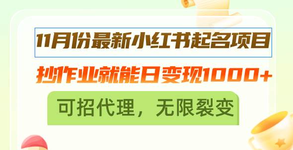 （13256期）11月份最新小红书起名项目，抄作业就能日变现1000+，可招代理，无限裂变-七哥资源网 - 全网最全创业项目资源