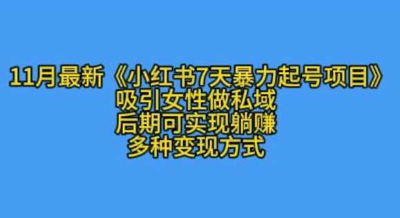 K总部落11月最新小红书7天暴力起号项目，吸引女性做私域【揭秘】-七哥资源网 - 全网最全创业项目资源