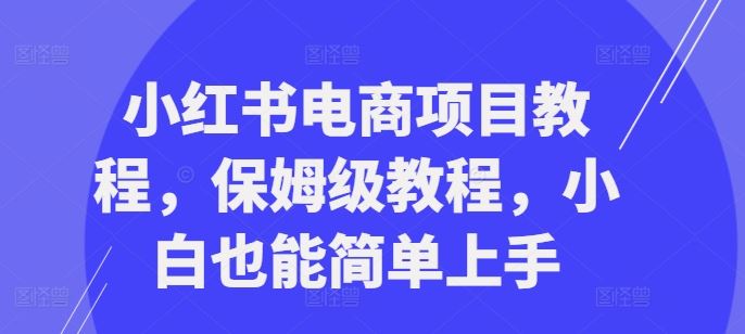 小红书电商项目教程，保姆级教程，小白也能简单上手-七哥资源网 - 全网最全创业项目资源