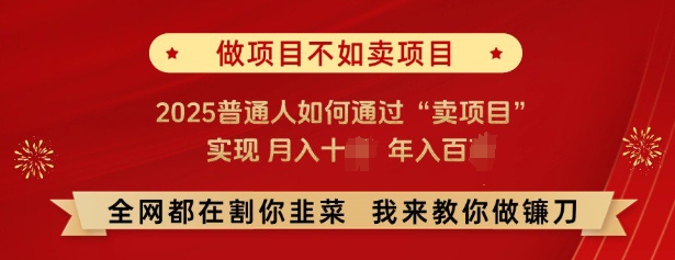 必看，做项目不如卖项目，2025普通人如何通过“卖项目”实现月入十个，年入百个-七哥资源网 - 全网最全创业项目资源