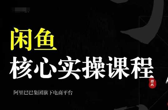 2024闲鱼核心实操课程，从养号、选品、发布、销售，教你做一个出单的闲鱼号-七哥资源网 - 全网最全创业项目资源