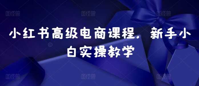 小红书高级电商课程，新手小白实操教学-七哥资源网 - 全网最全创业项目资源