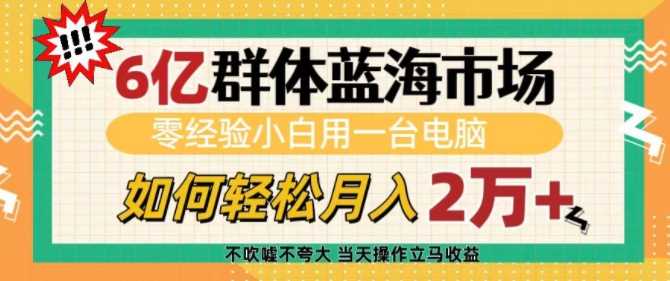 6亿群体蓝海市场，零经验小白用一台电脑，如何轻松月入过w【揭秘】-七哥资源网 - 全网最全创业项目资源