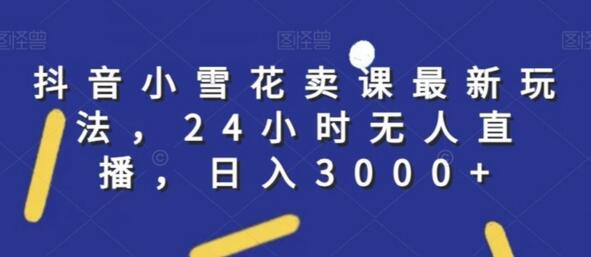 抖音小雪花卖课最新玩法，24小时无人直播，日入3000+-七哥资源网 - 全网最全创业项目资源