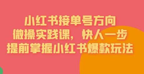 接单号方向·小红书微操实践课，快人一步，提前掌握小红书爆款玩法-七哥资源网 - 全网最全创业项目资源