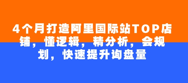 4个月打造阿里国际站TOP店铺，懂逻辑，精分析，会规划，快速提升询盘量-七哥资源网 - 全网最全创业项目资源