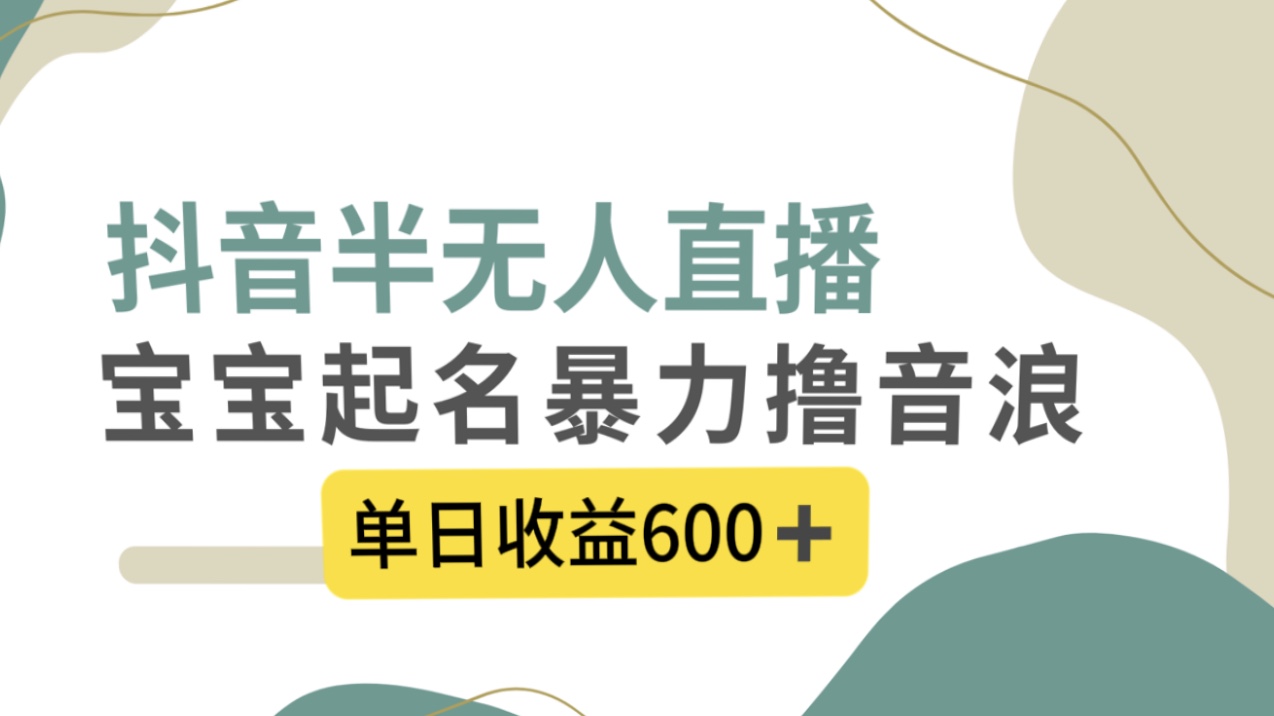 抖音半无人直播，宝宝起名，暴力撸音浪，单日收益600+-七哥资源网 - 全网最全创业项目资源