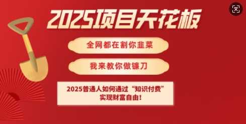 2025项目天花板普通人如何通过知识付费，实现财F自由【揭秘】-七哥资源网 - 全网最全创业项目资源